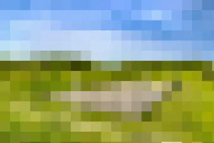 Zilverschoon 21 Katwijk thumbnail 37