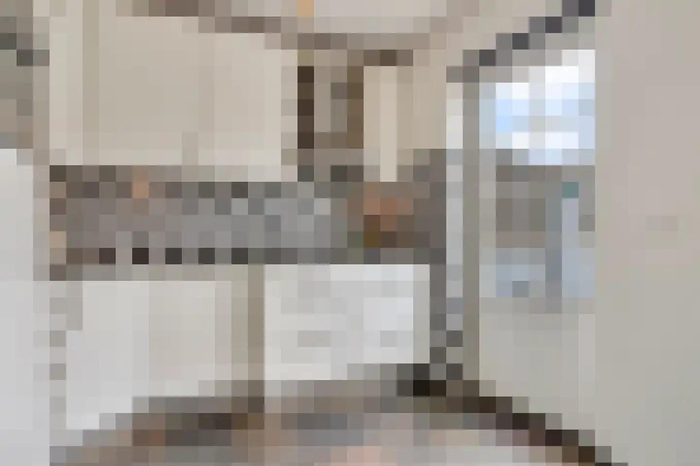 Zilverschoon 22 Goirle thumbnail 10