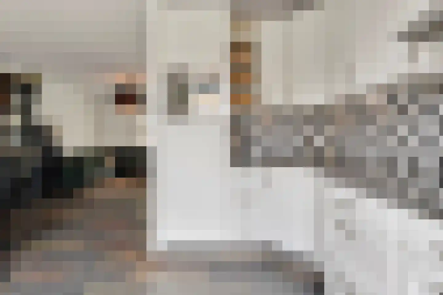 Zilverschoon 22 Goirle thumbnail 11