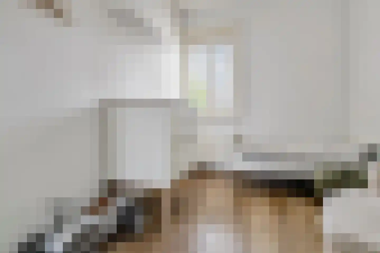 Zilverschoon 22 Goirle thumbnail 19