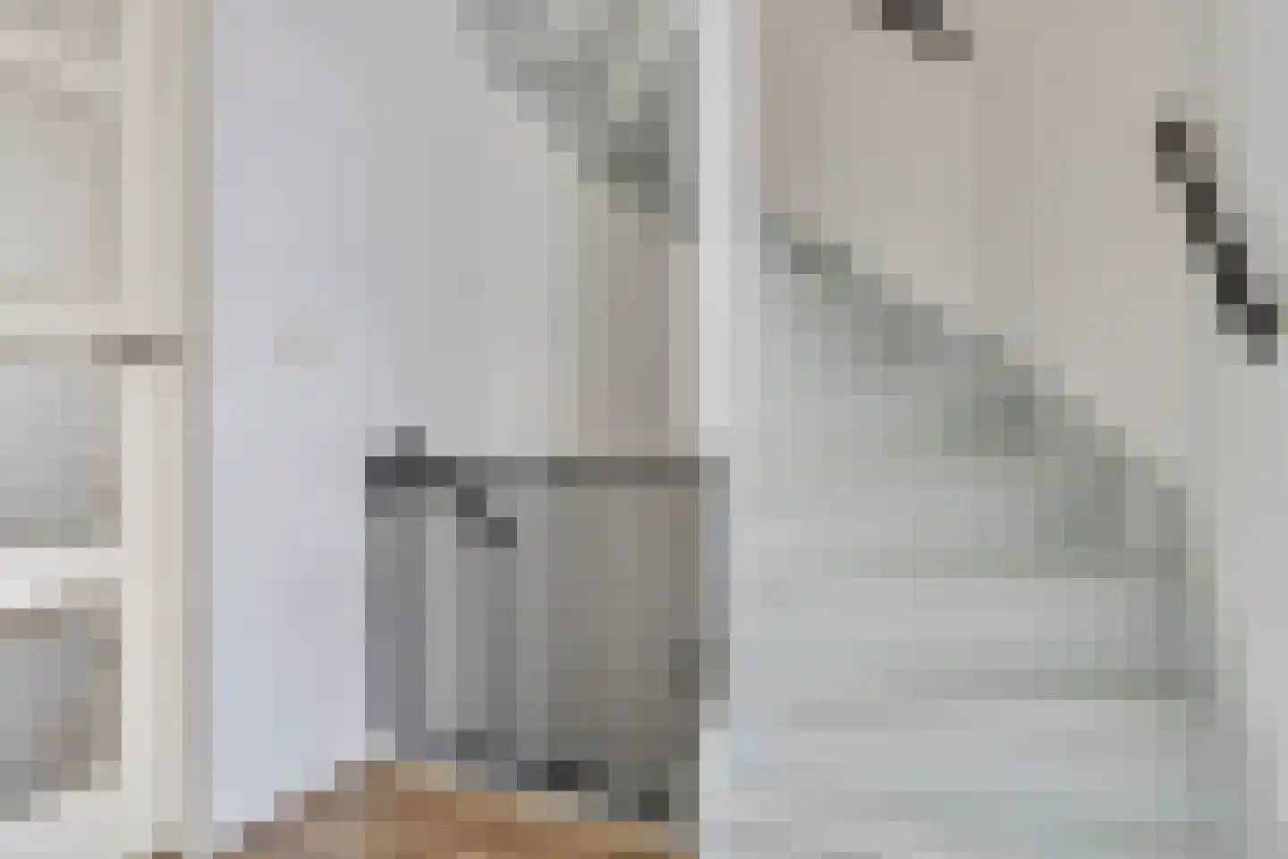 Zilverschoon 22 Goirle thumbnail 21