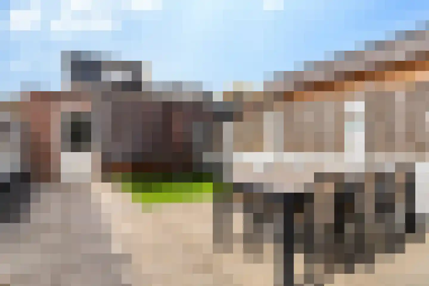 Zilverschoon 22 Goirle thumbnail 24