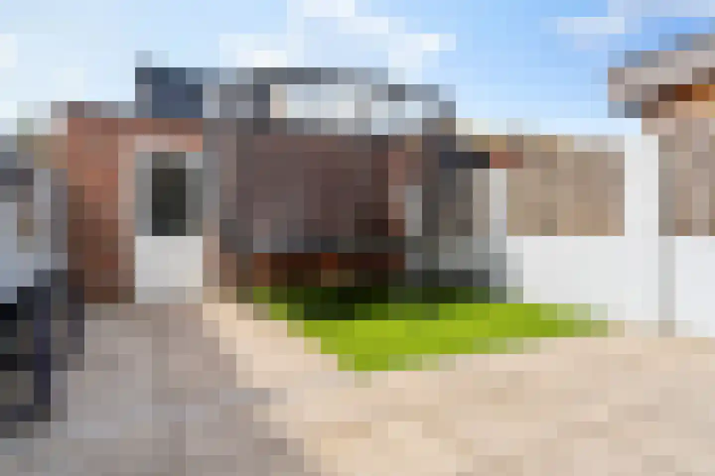 Zilverschoon 22 Goirle thumbnail 26