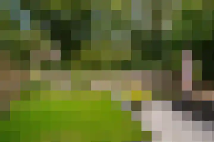 Zilverschoon 220 Oldenzaal thumbnail 56