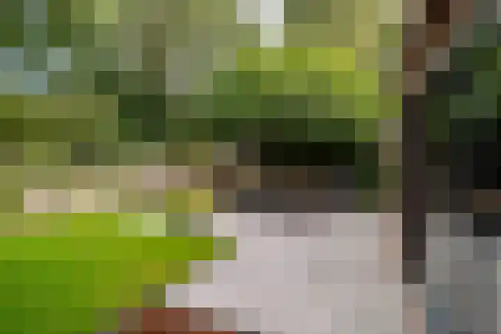 Zilverschoon 220 Oldenzaal thumbnail 6