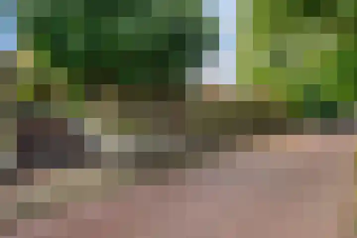 Zilverschoon 220 Oldenzaal thumbnail 63