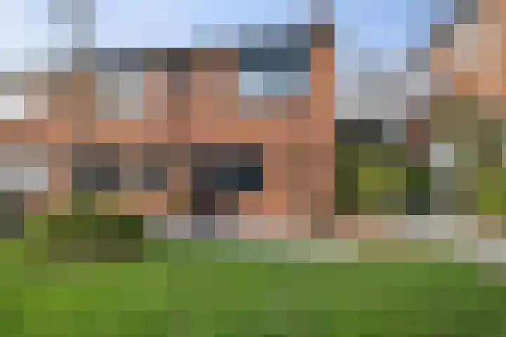 Zilverschoon 220 Oldenzaal thumbnail 8