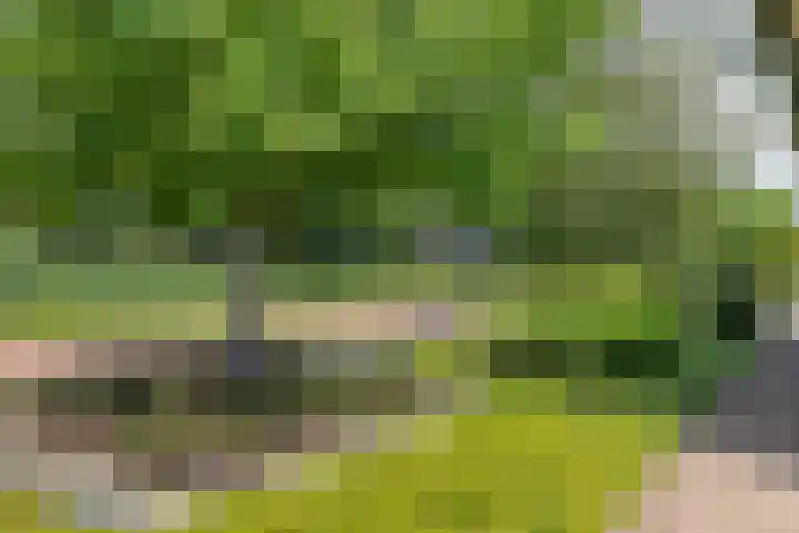 Zilverschoon 28 Eelde thumbnail 10