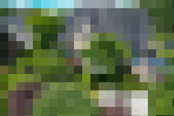 Zilverschoon 28 Eelde thumbnail 4
