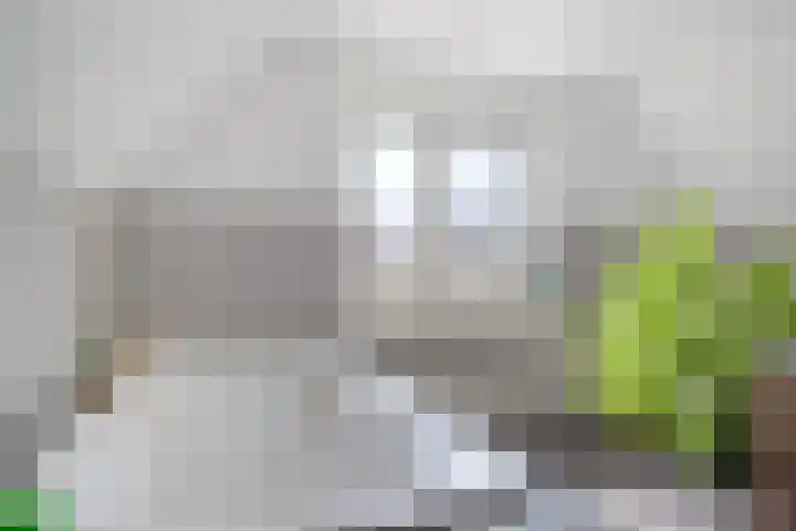 Zilverschoon 28 Eelde thumbnail 41