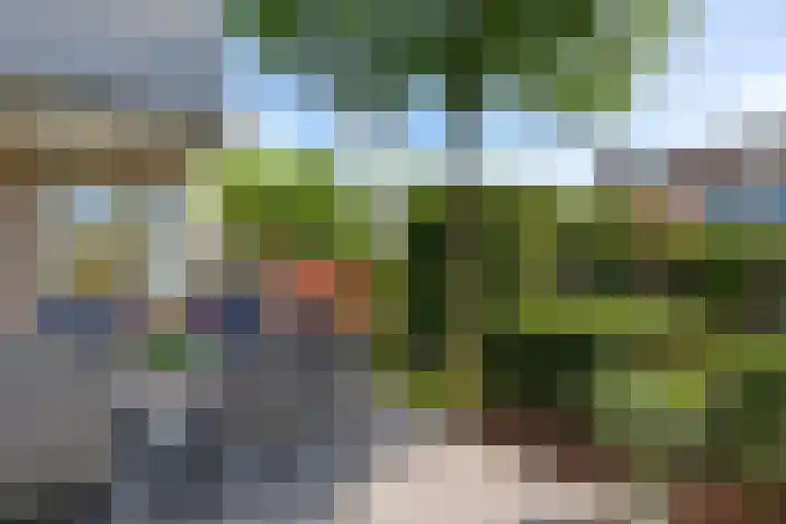 Zilverschoon 28 Eelde thumbnail 46