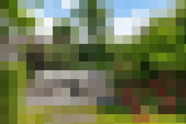 Zilverschoon 28 Eelde thumbnail 50