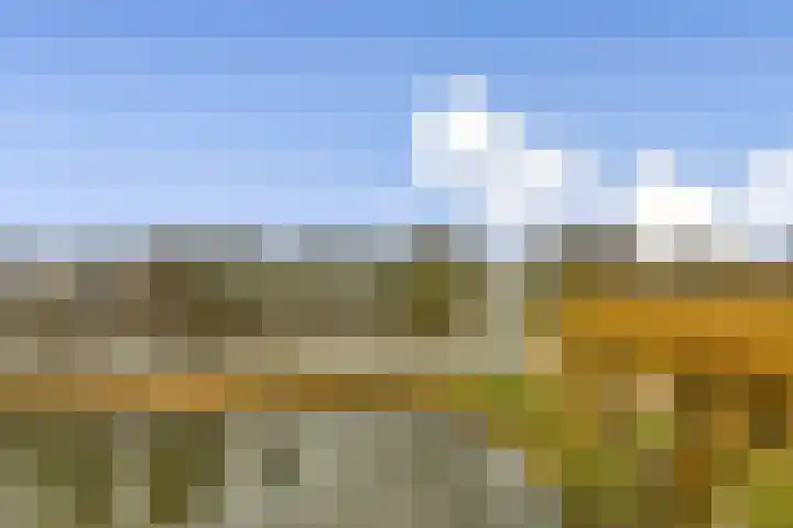 Zilverschoon 42 Uithoorn thumbnail 13
