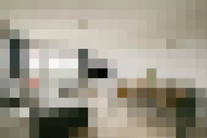 Zilverschoon 42 Uithoorn thumbnail 5