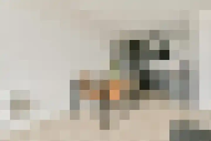 Zilverschoon 42 Uithoorn thumbnail 7