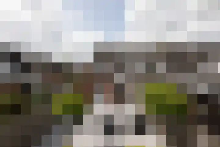 Zilverschoon 58 Sneek thumbnail 33