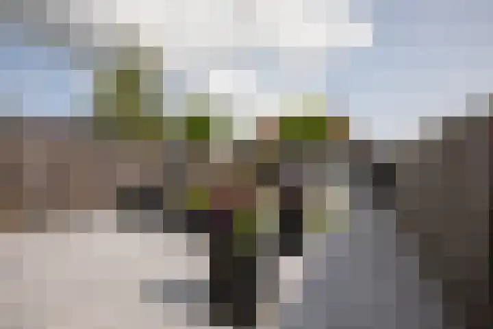 Zilverschoon 58 Sneek thumbnail 34