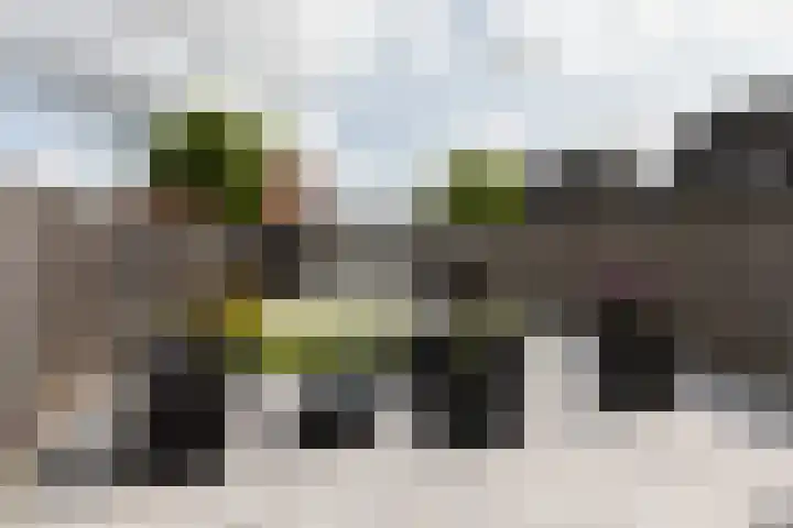 Zilverschoon 58 Sneek thumbnail 35