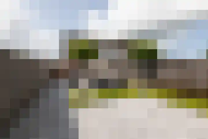 Zilverschoon 58 Sneek thumbnail 37