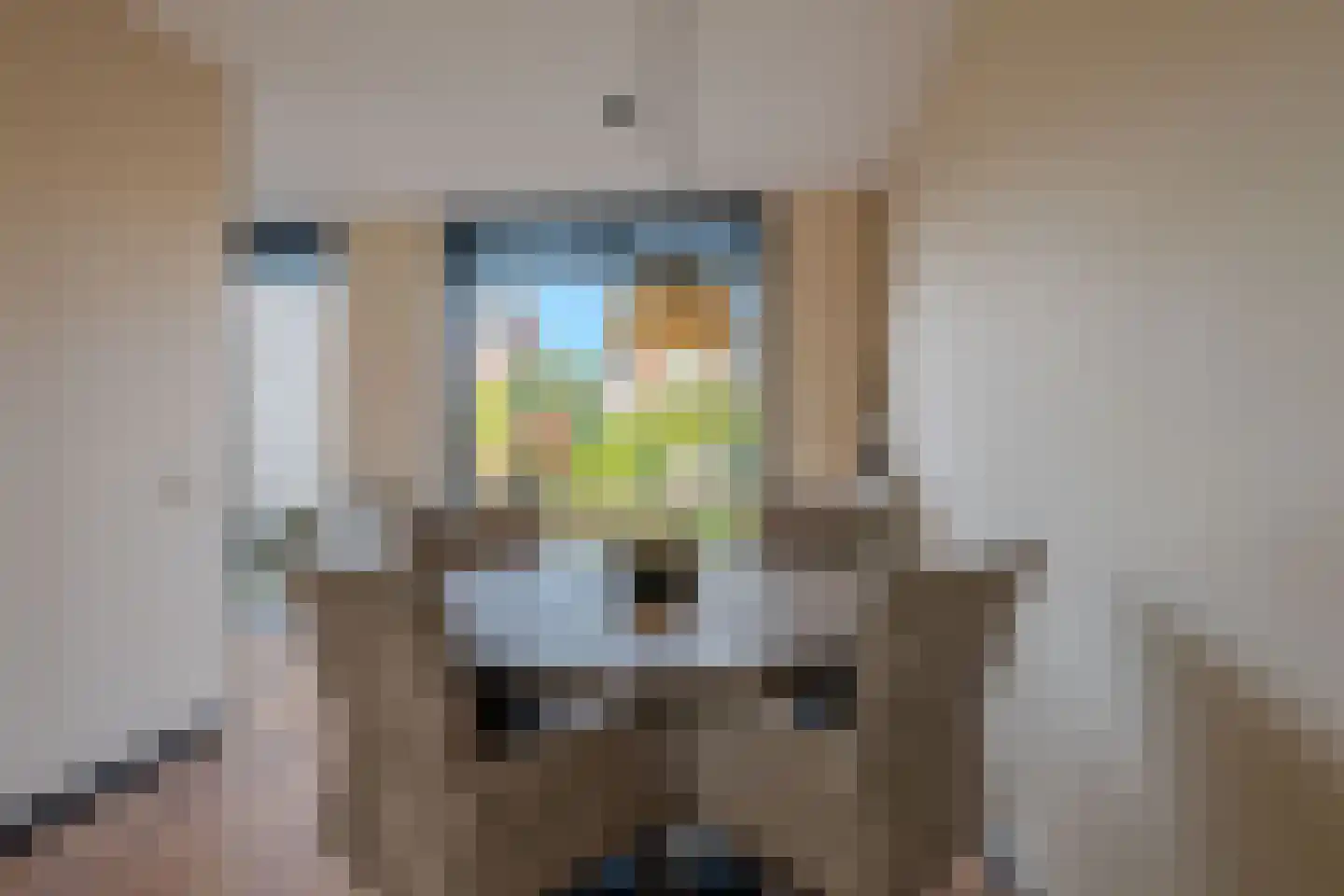 Zilverschoon 9 Venray thumbnail 12