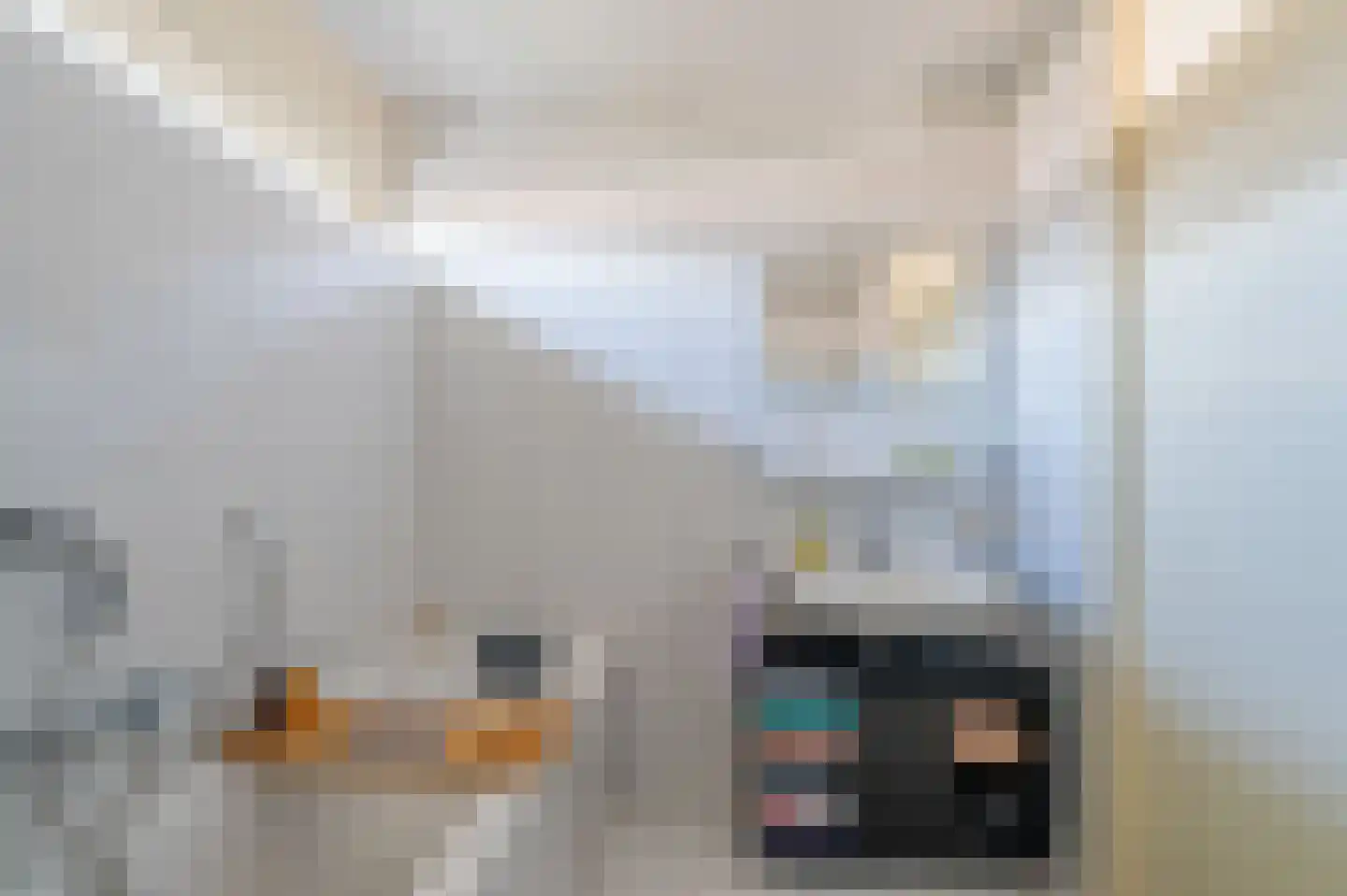 Zilverschoon 9 Venray thumbnail 26