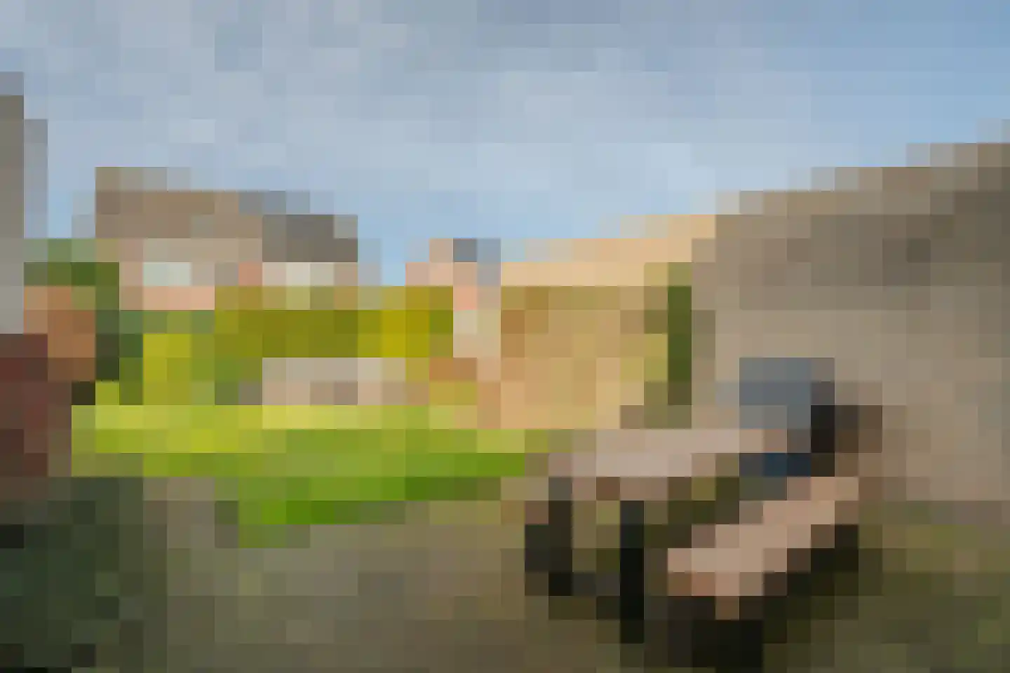 Zilverschoon 9 Venray thumbnail 32