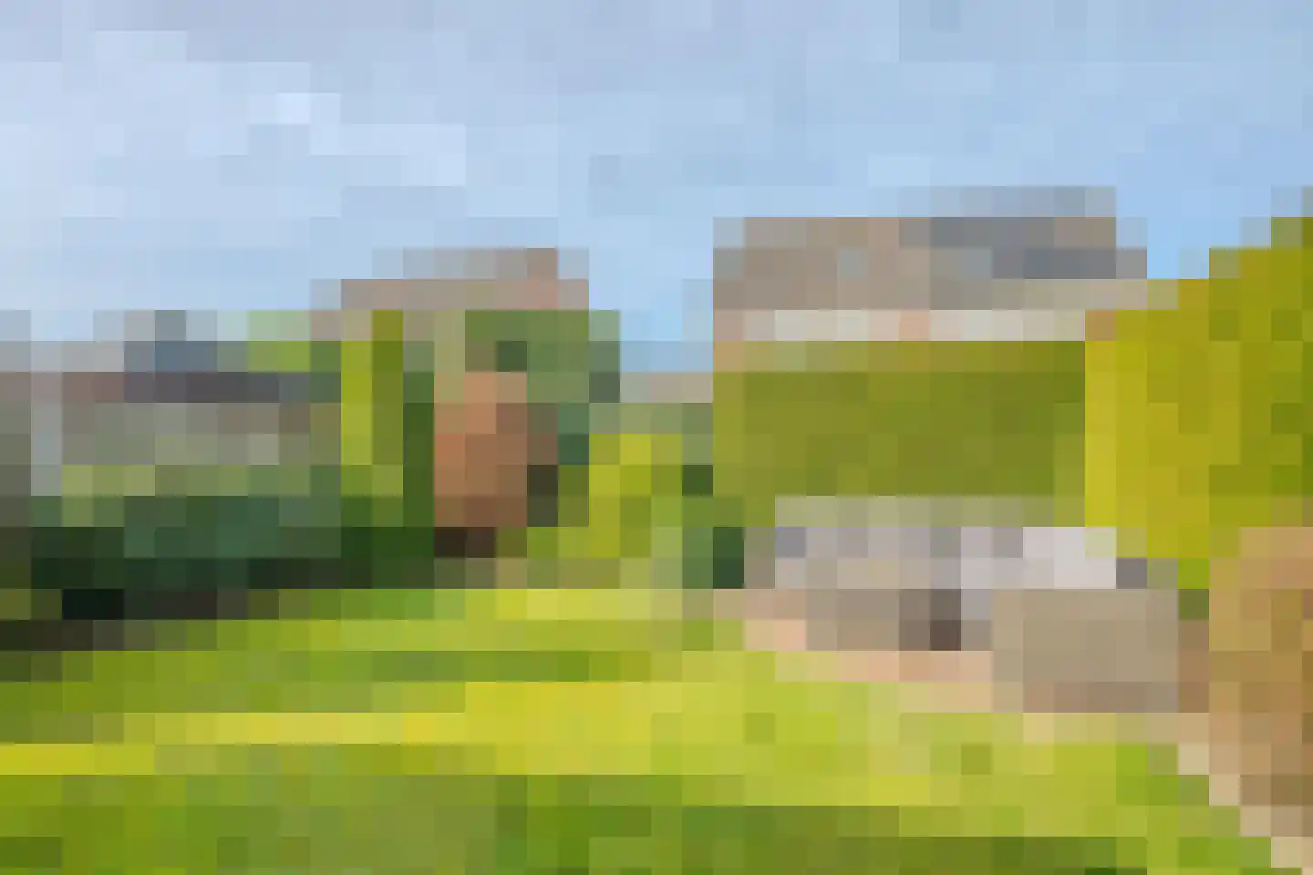 Zilverschoon 9 Venray thumbnail 34