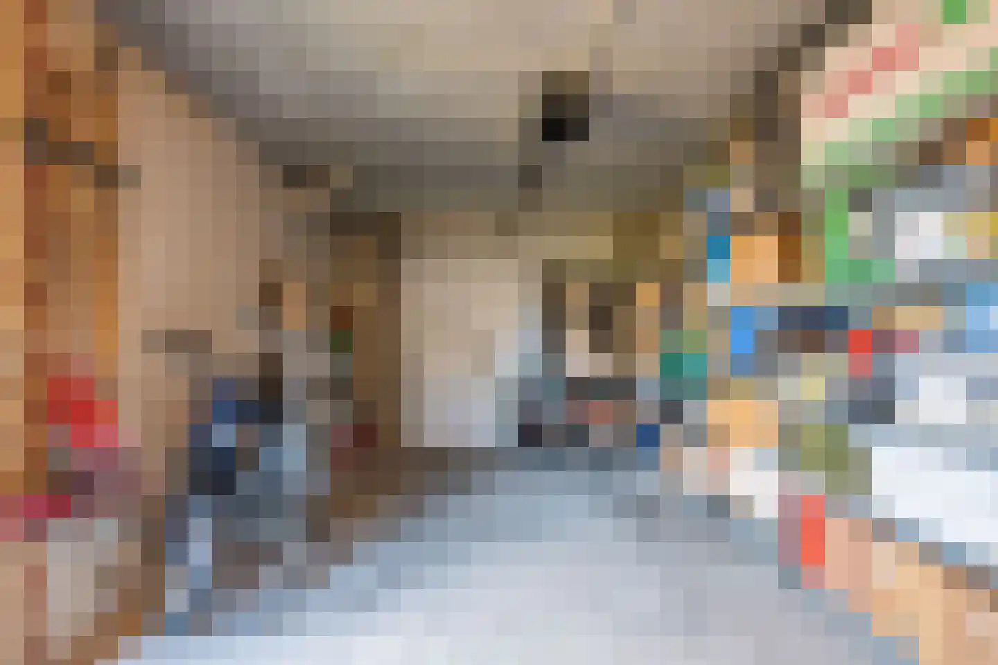 Zilverschoon 9 Venray thumbnail 37