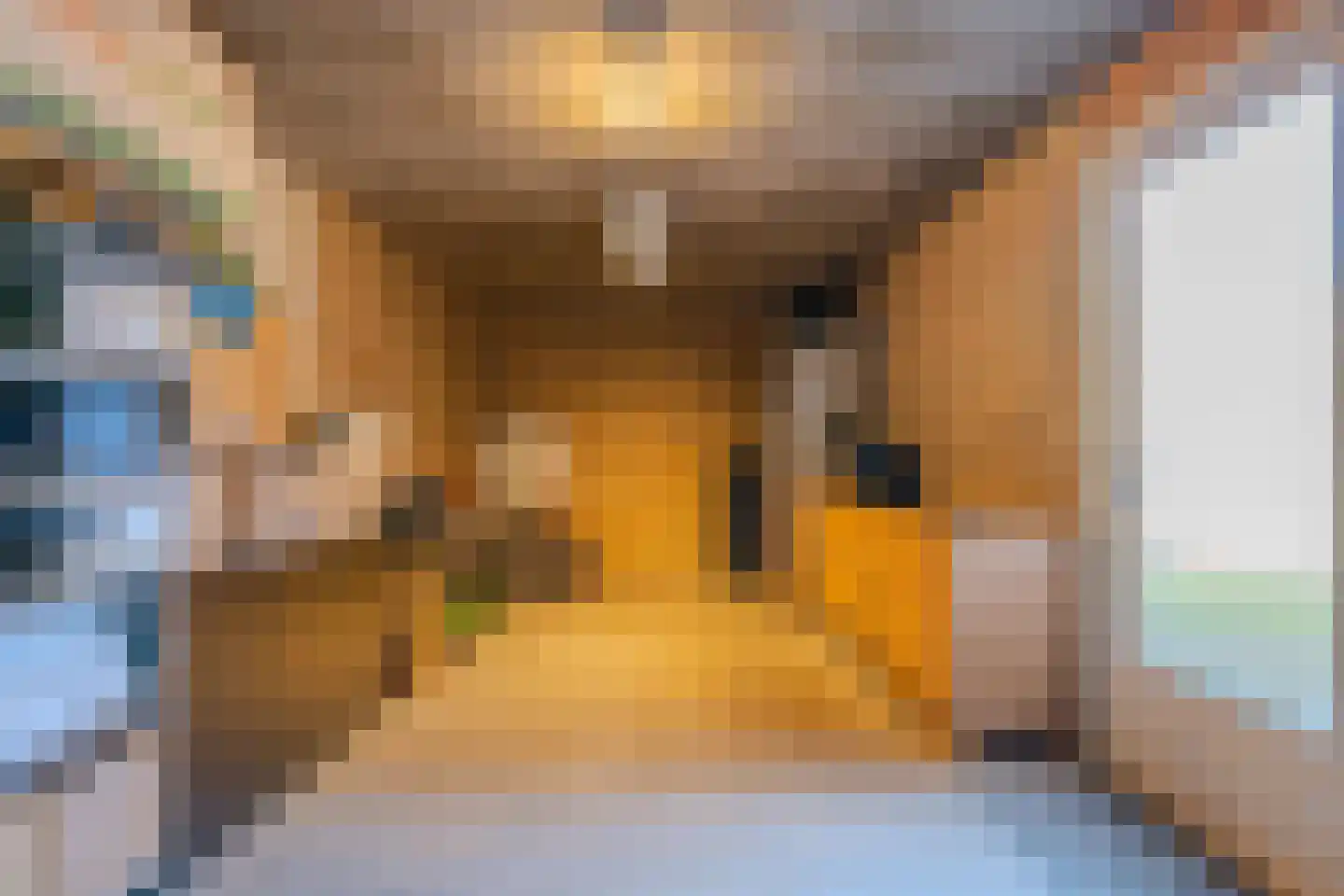 Zilverschoon 9 Venray thumbnail 38