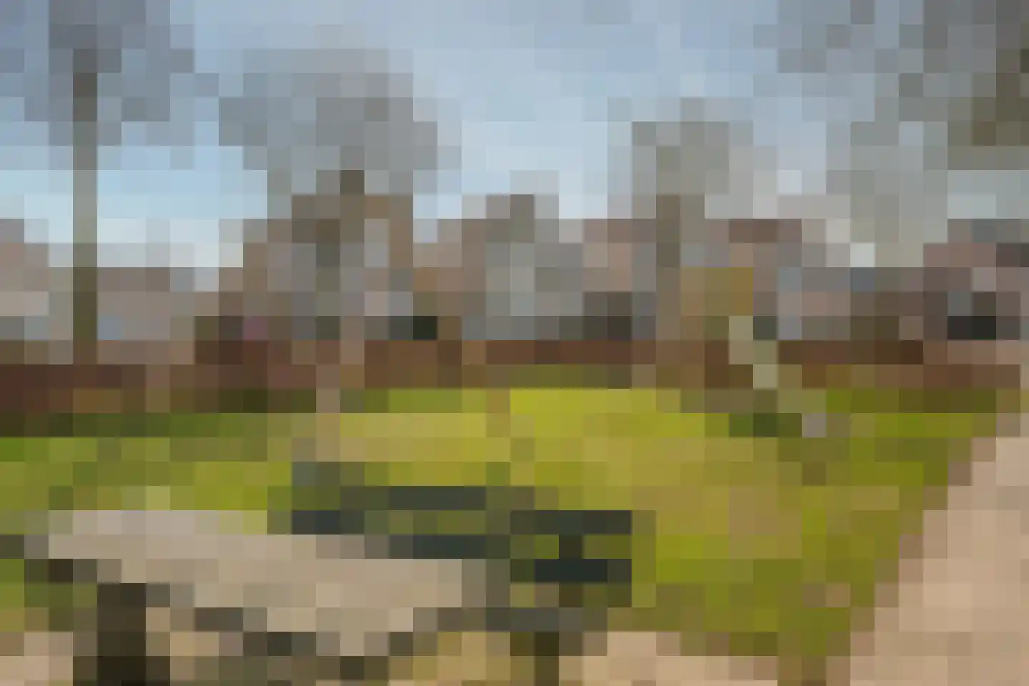 Zilverschoon 9 Venray thumbnail 43
