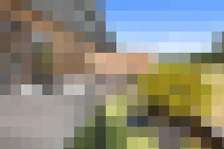 Zilverschoonlaan 269 Lelystad thumbnail 33