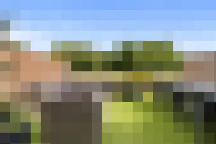 Zilverschoonlaan 269 Lelystad thumbnail 36