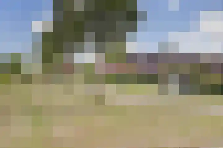 Zilversmid 6 Zeewolde thumbnail 39