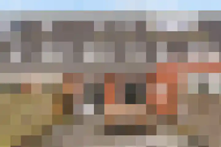 Zilversmid 8 Zeewolde thumbnail 32