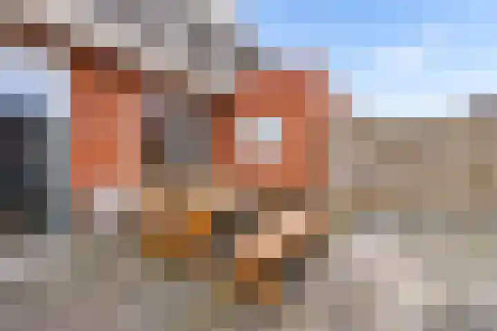 Zilversmid 8 Zeewolde thumbnail 34