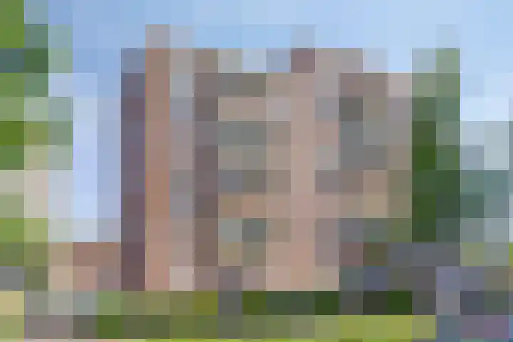 Zilverstein 107 dans Oegstgeest
