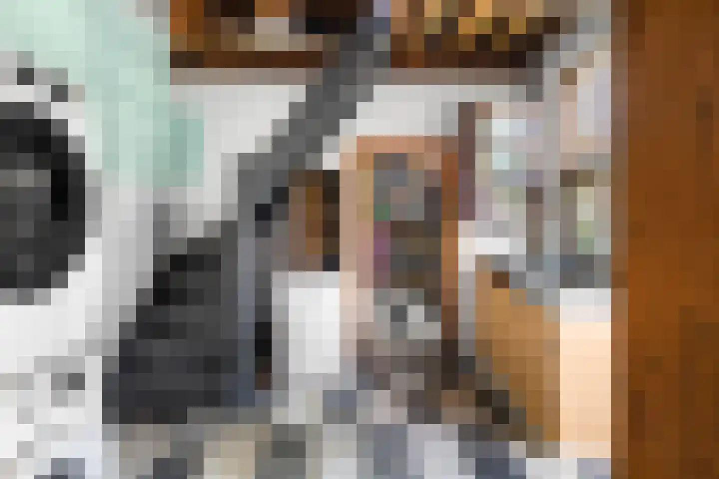 Zilverstraat 27 Franeker thumbnail 25