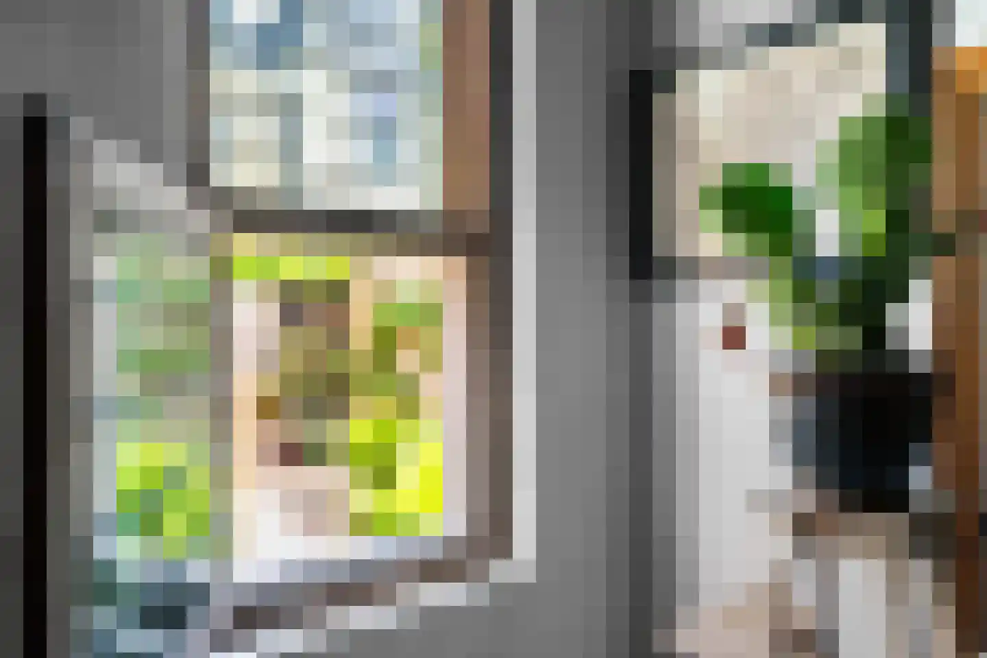 Zilverstraat 27 Franeker thumbnail 26