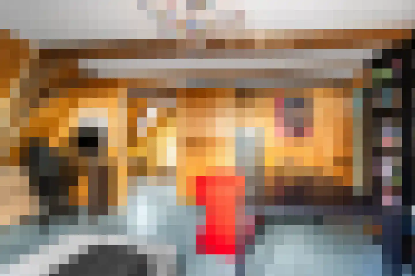 Zilverstraat 27 Franeker thumbnail 51