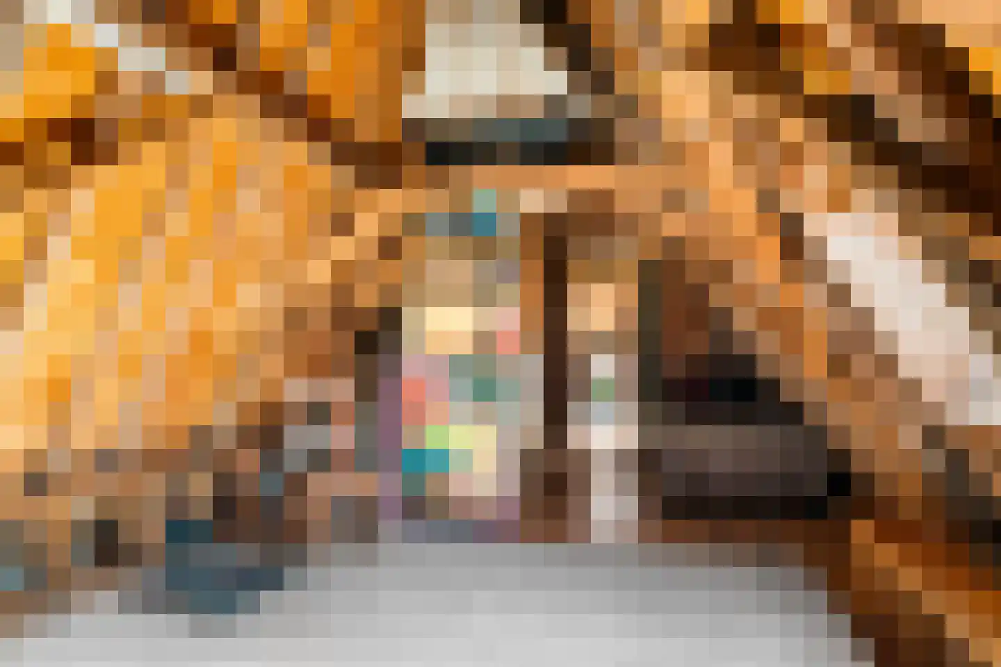 Zilverstraat 27 Franeker thumbnail 62