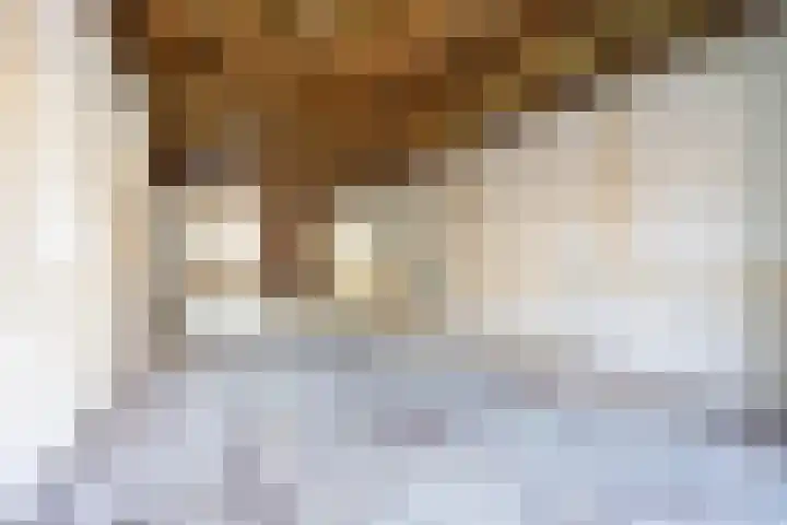 Zilverstraat 43 Franeker thumbnail 16
