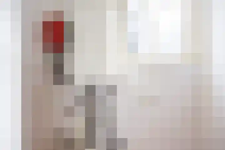 Zilverstraat 43 Franeker thumbnail 35