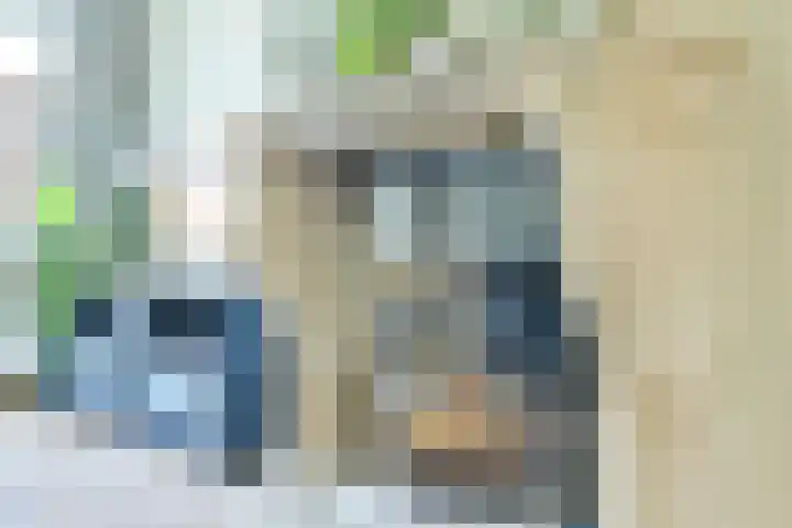 Zingerskamp 13 Laren thumbnail 11