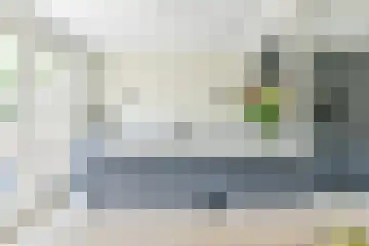 Zingerskamp 13 Laren thumbnail 13