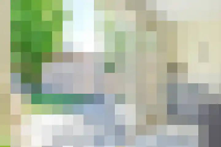 Zingerskamp 13 Laren thumbnail 21