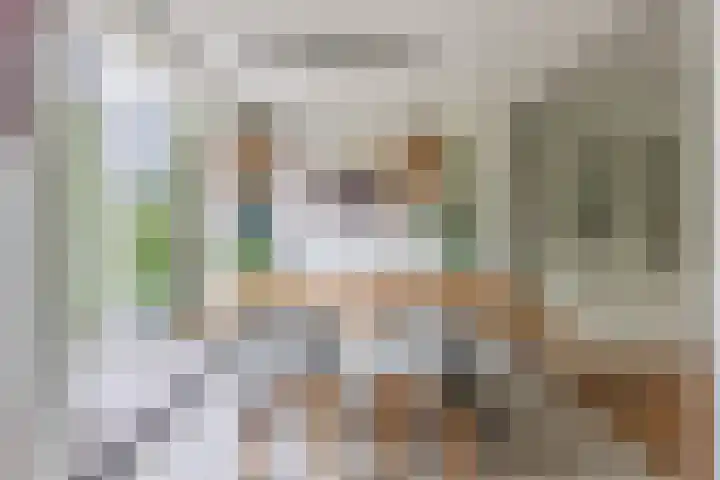 Zingerskamp 4 Laren thumbnail 15