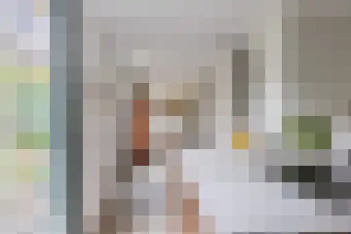 Zingerskamp 4 Laren thumbnail 20