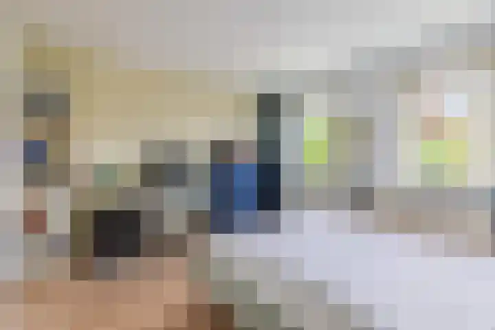 Zingerskamp 4 Laren thumbnail 23