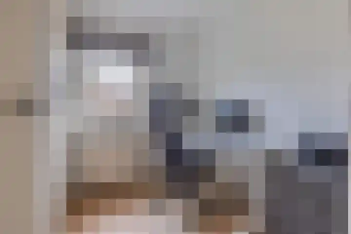 Zingerskamp 4 Laren thumbnail 24