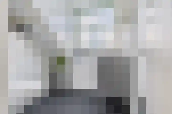 Zingerskamp 4 Laren thumbnail 32
